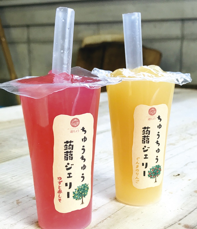 ちゅうちゅう蒟蒻ジェリーとごちそうこんにゃくの詰め合わせ/AG-23-392