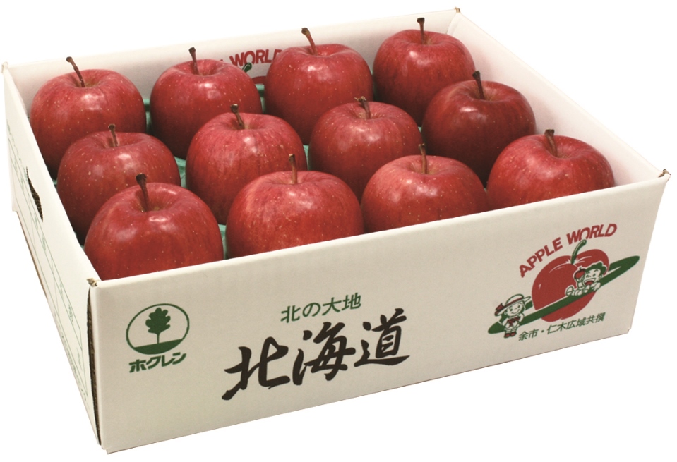 0400-087北海道余市産JAよいちふじりんご約3kgギフト